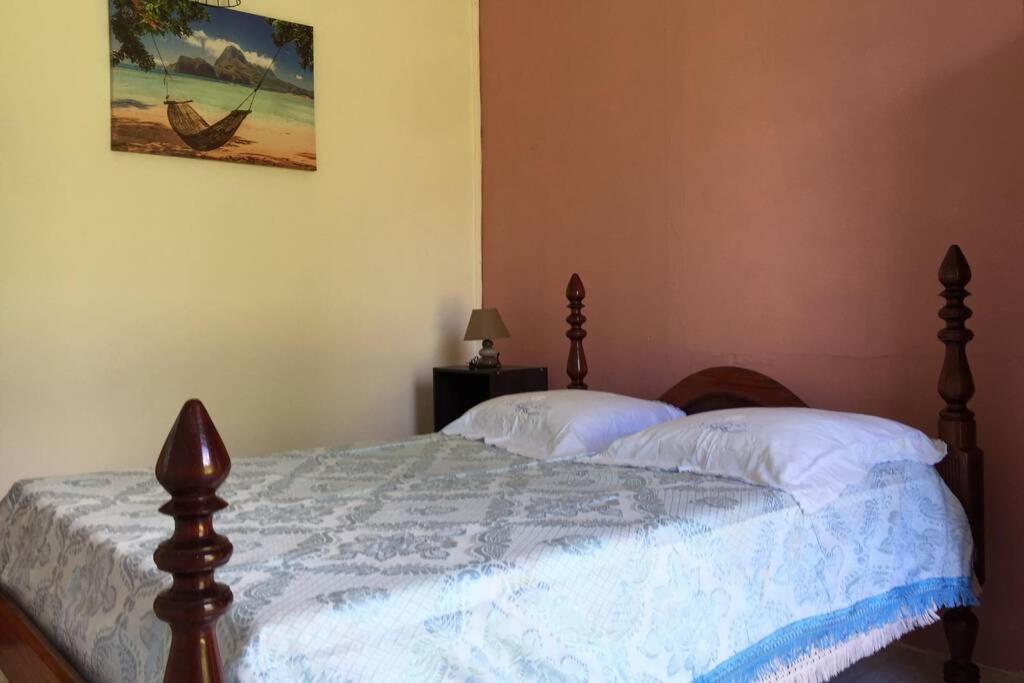 Logement En Pleine Verdure Tropicale -10 Min Plage Le Morne-Rouge Exterior foto